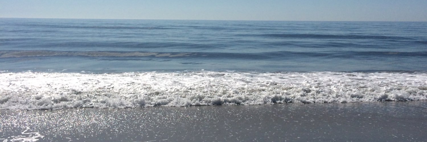 ShannBart's profile banner image