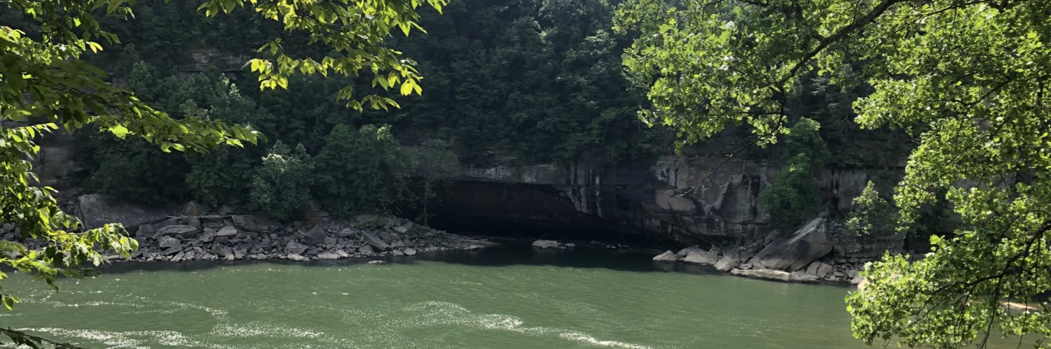 LShustek's profile banner image