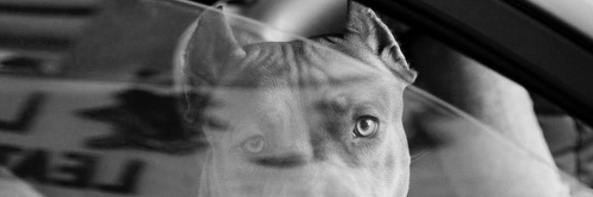 leeobeeck's profile banner image