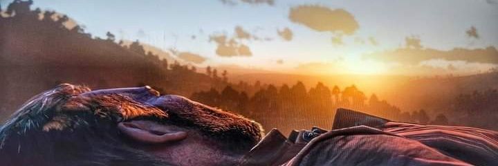 Moisa né banner