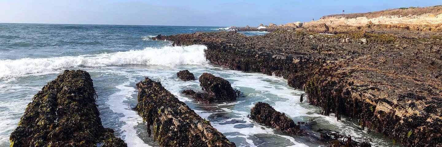 Trash Glitter banner