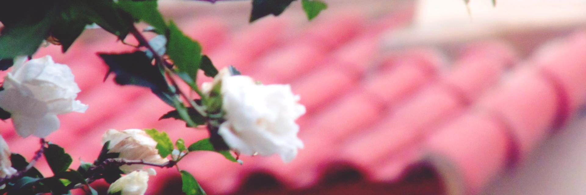 Marryjoanna1's profile banner image