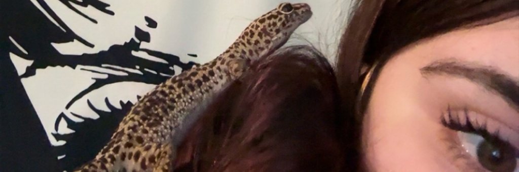 Jordan banner