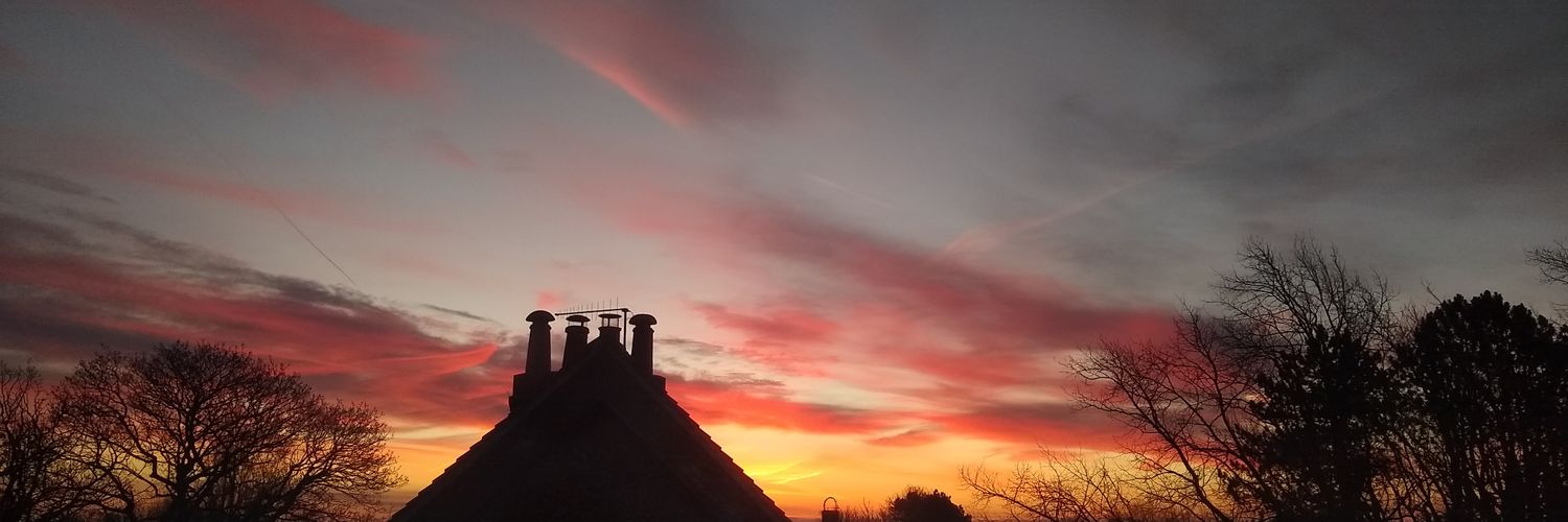 cowboy beep bert banner