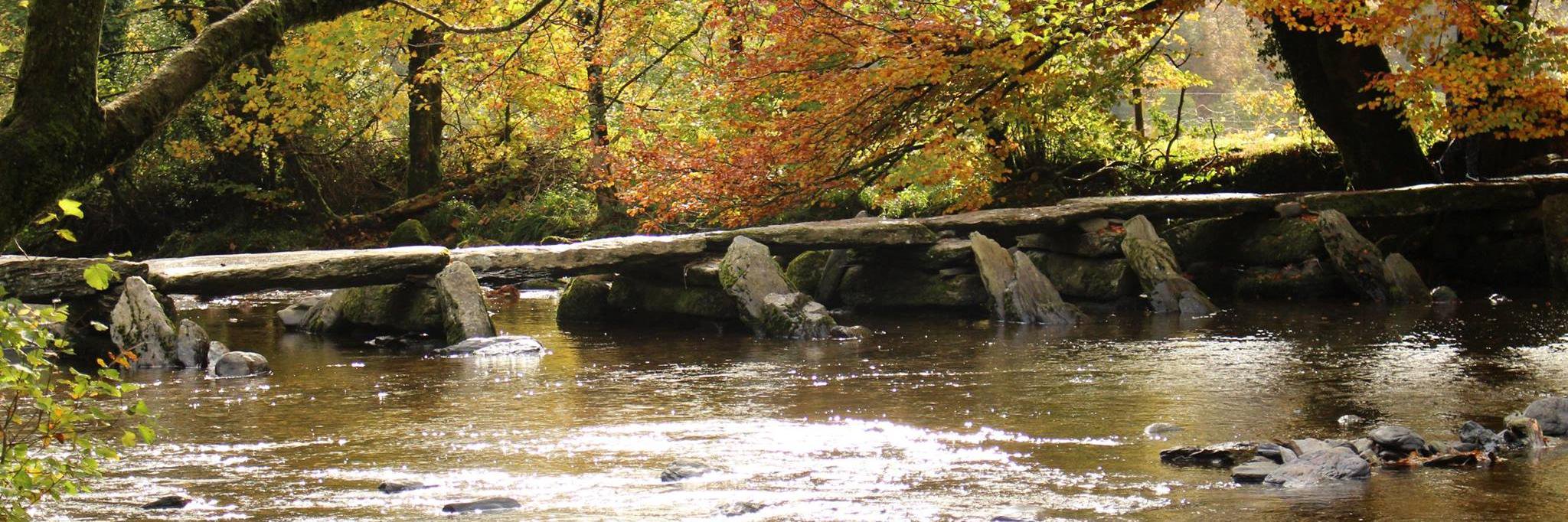 Alex Eastabrook banner