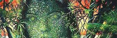 Mark Dexter 🕊 banner