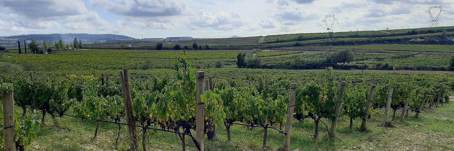 Impulsem Subirats banner