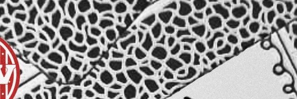 niemest Profile Banner