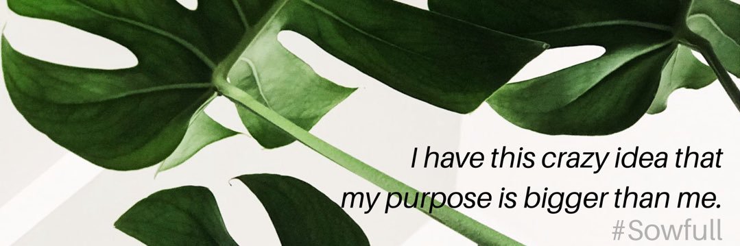 Sowfull_'s profile banner image