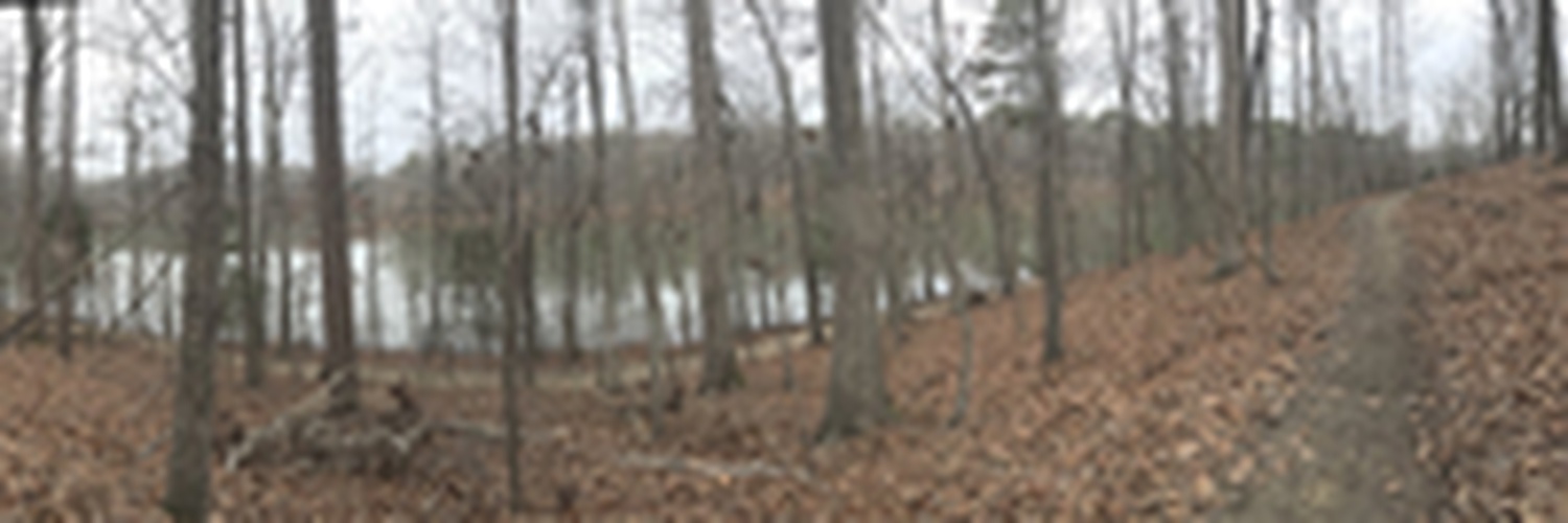 trevorbanksdev's profile banner image