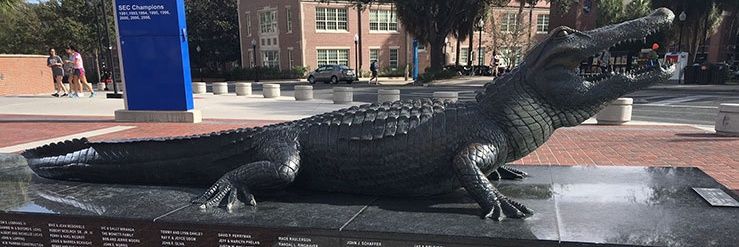 Edward Kenway banner