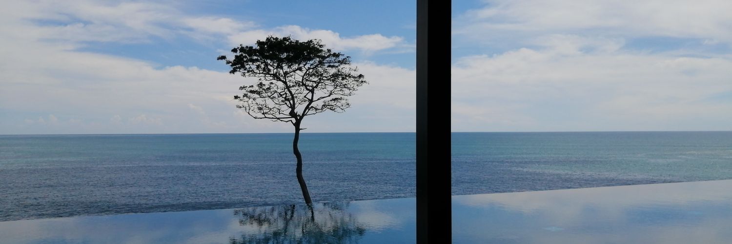 Guillermo E. González Polanco banner