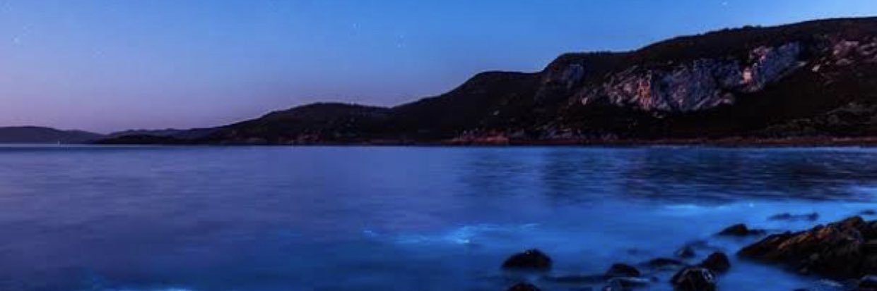 Caiocesar_95's profile banner image