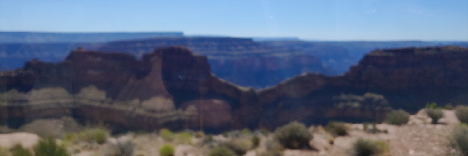 foxyclyde24's profile banner image