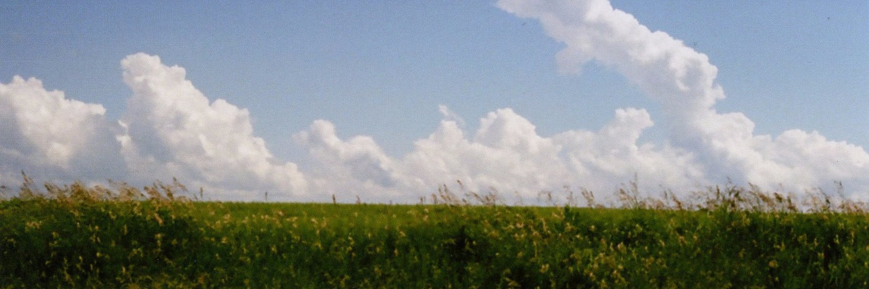 Daniel Jeffery banner