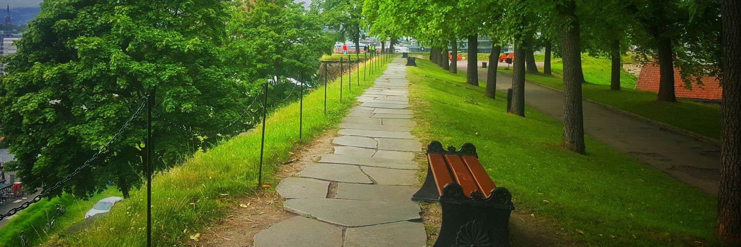 Sulaiman Rashed banner