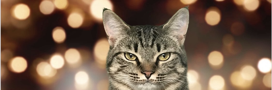 troyjohnb's profile banner image
