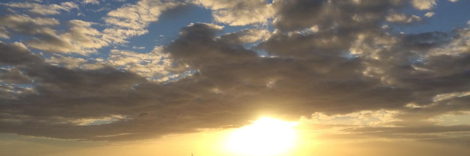 AV_DMV's profile banner image