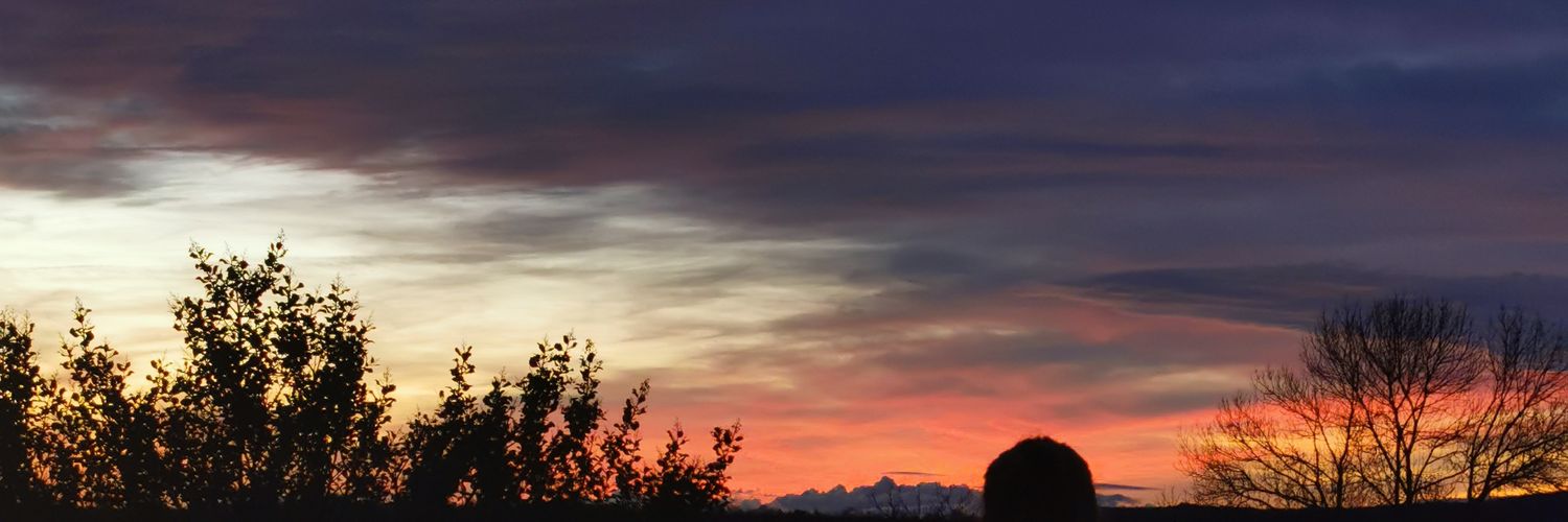 rene_r92's profile banner image