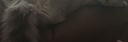 jcvalram's profile banner image
