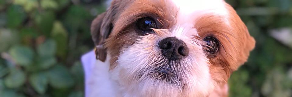 Fernandamy_'s profile banner image