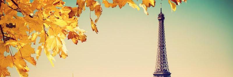 chantou38's profile banner image
