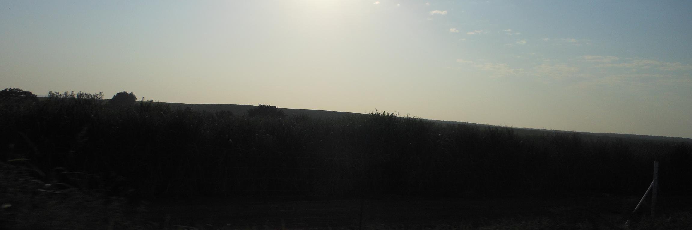 Michal Rifler banner