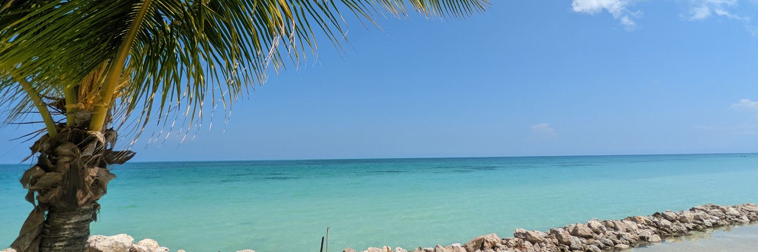 OJavaid's profile banner image