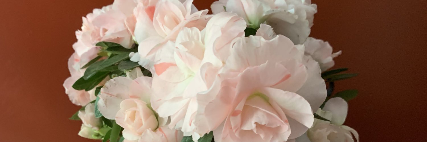 dawn_brunk's profile banner image
