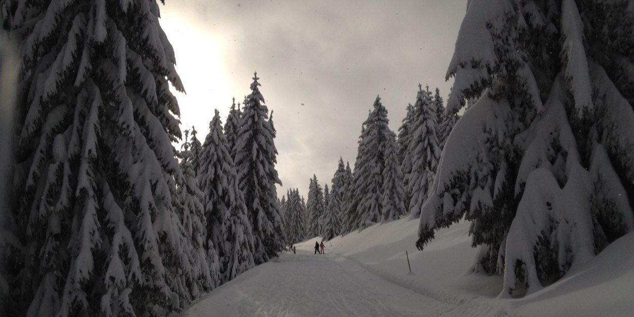 Greg Paterson banner