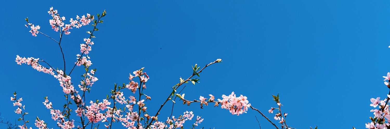 ZPippos's profile banner image