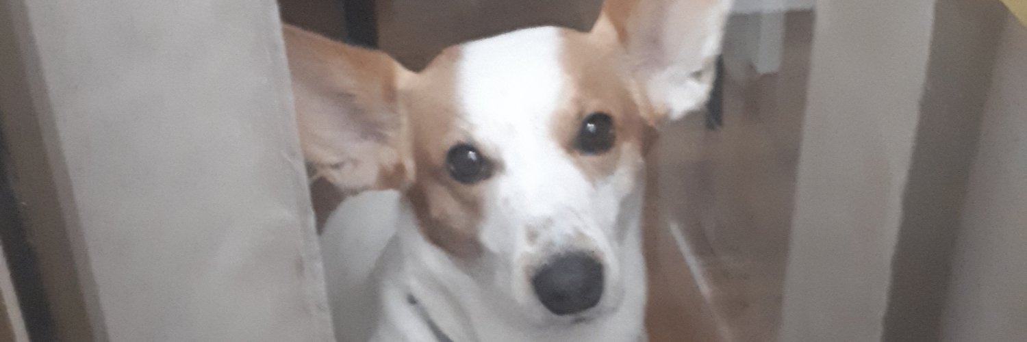 ascariu's profile banner image