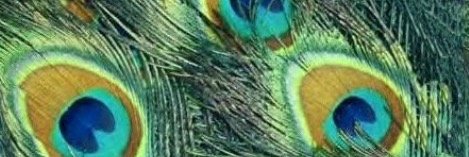 CgAngela's profile banner image