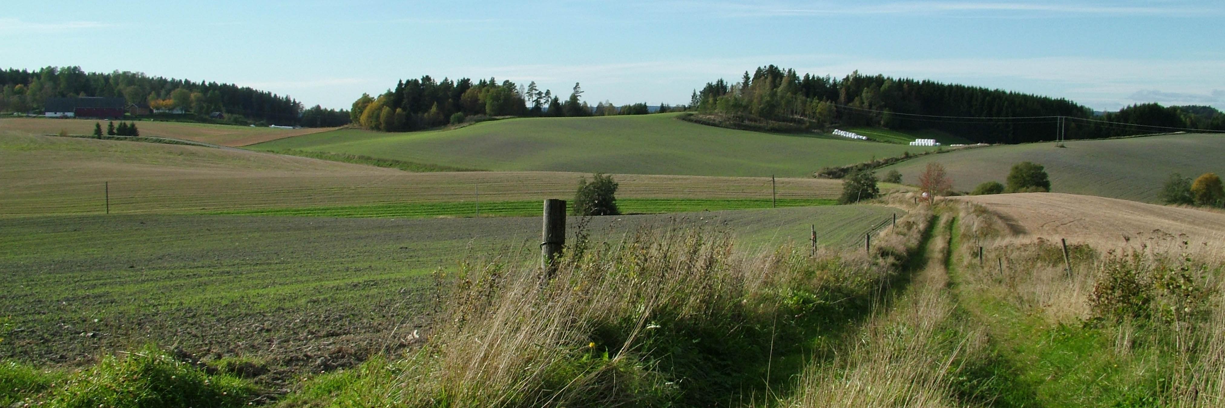 Wenche Dramstad banner