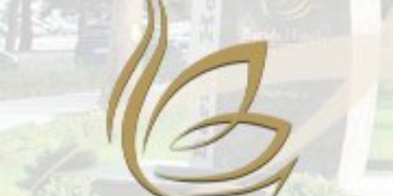 SamiOngor's profile banner image