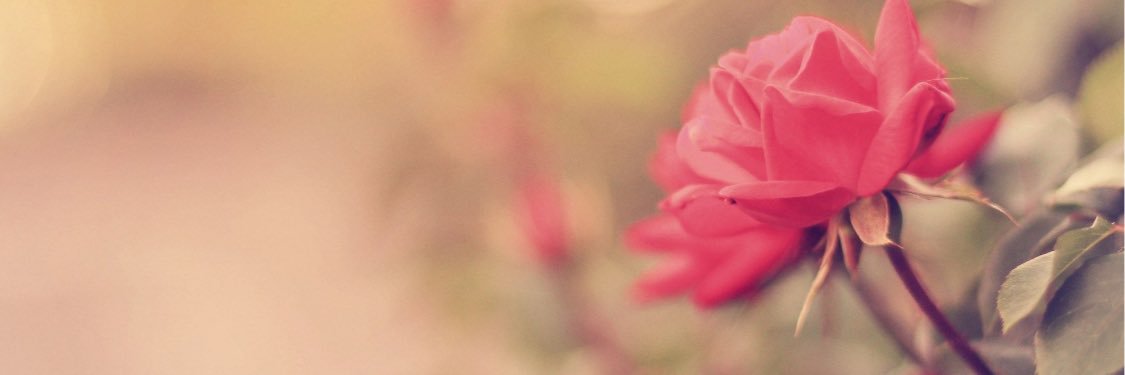 DiamonC_'s profile banner image