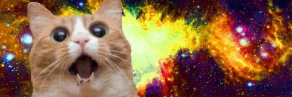 purealex's profile banner image