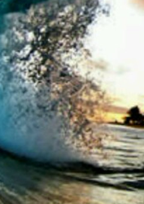 ddsaavedra's profile banner image