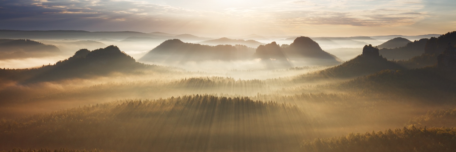 Martin Rak banner