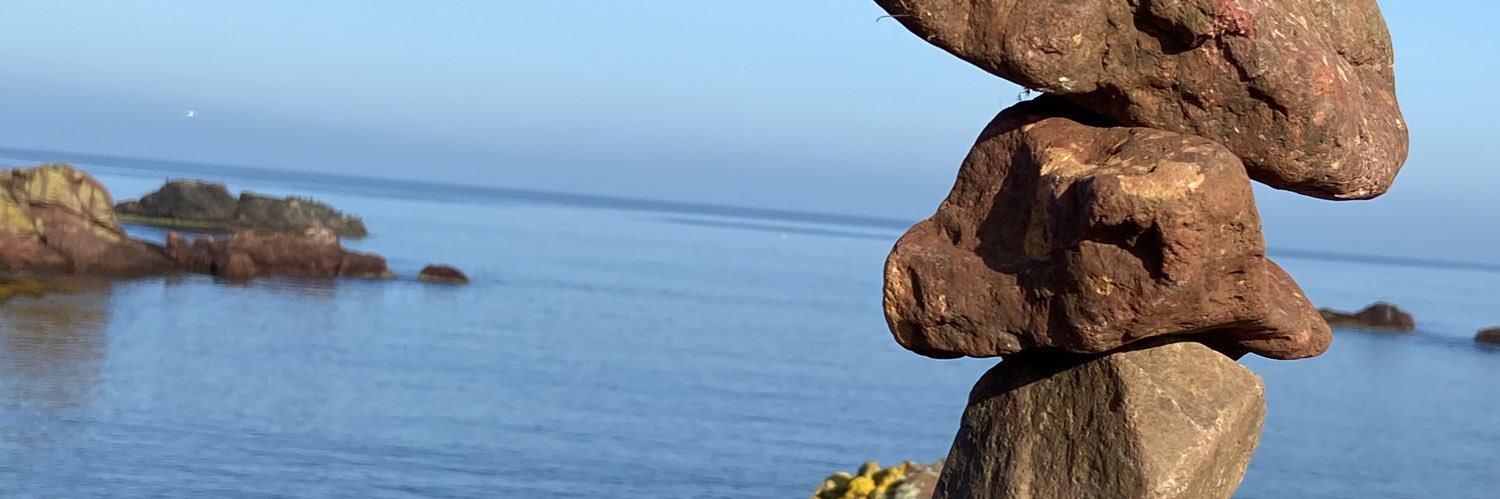 FYoungKaufman's profile banner image