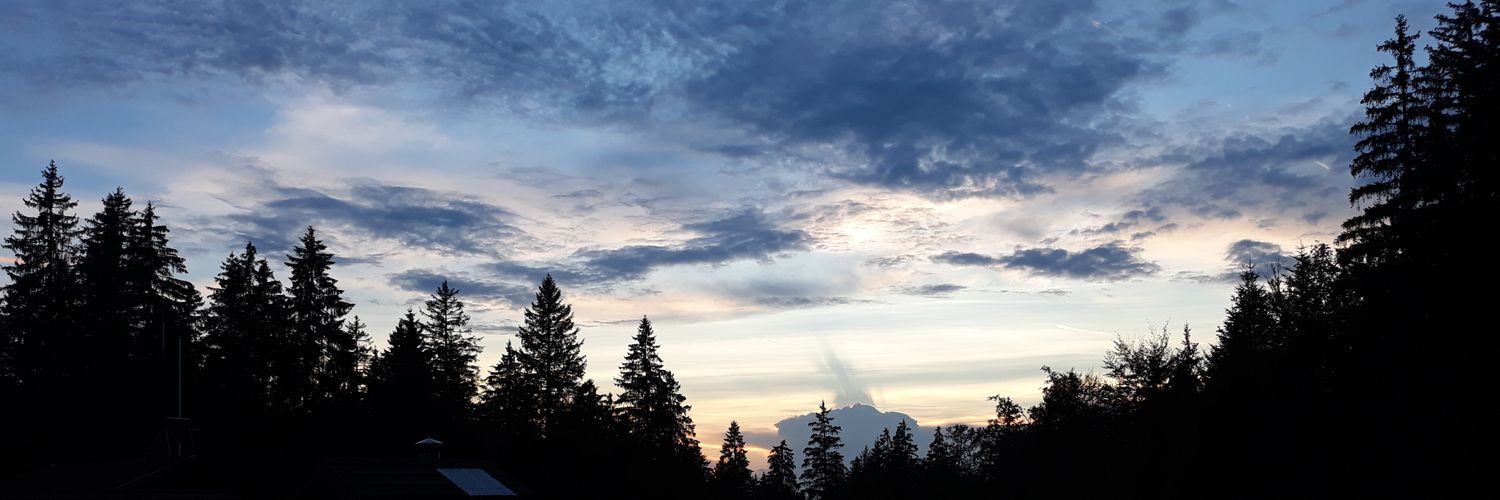 prettyxheart's profile banner image