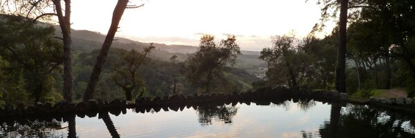 ric0seq Profile Banner