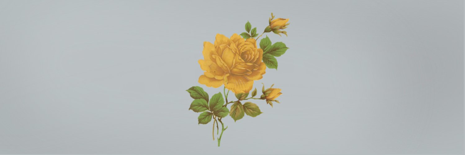 limkimpics's profile banner image