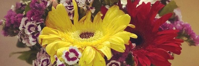 sirionia's profile banner image