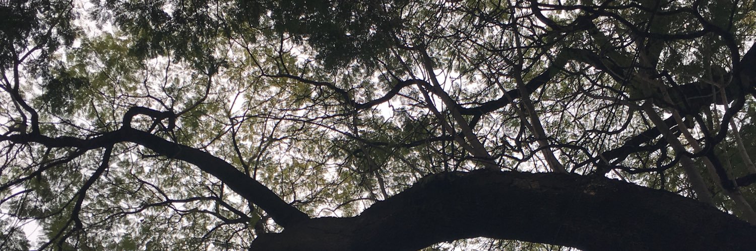 ay_dany's profile banner image