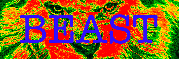 BeastUCB's profile banner image