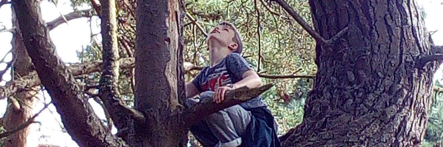 daverhinosmith's profile banner image