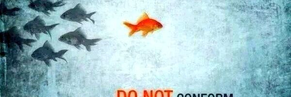 MSpagnu's profile banner image