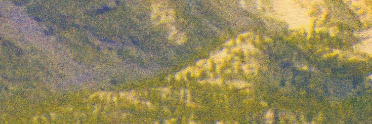 meeenx's profile banner image