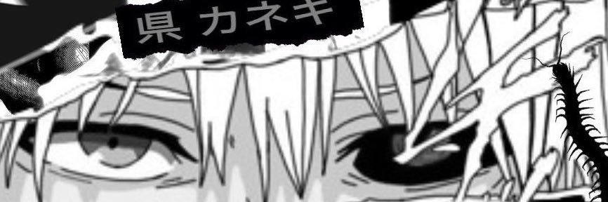 userkittyf's profile banner image